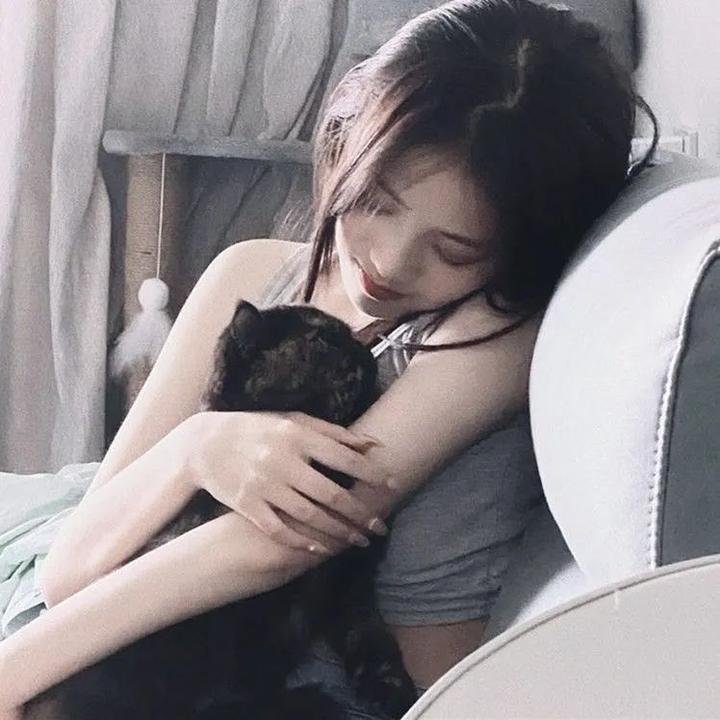 阿玛迪斯